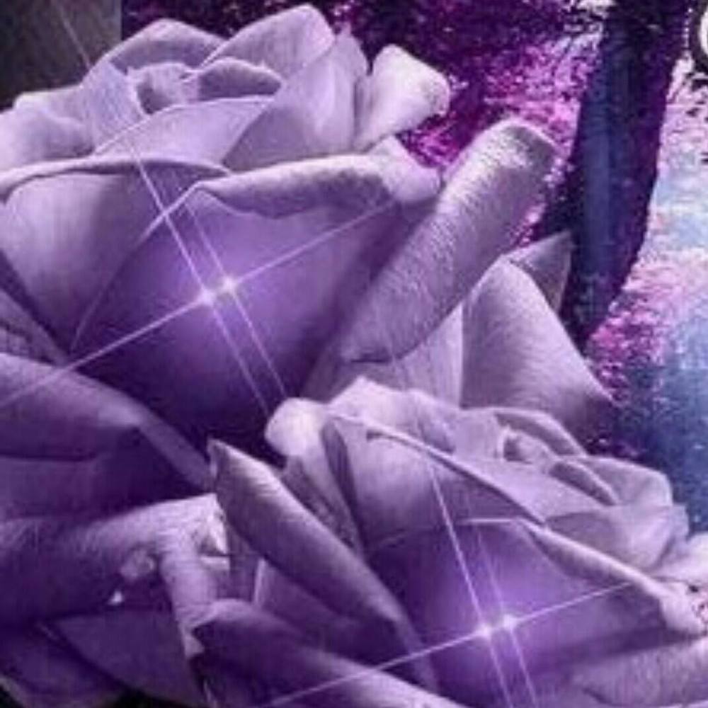 Meet your Posher, Lizzy